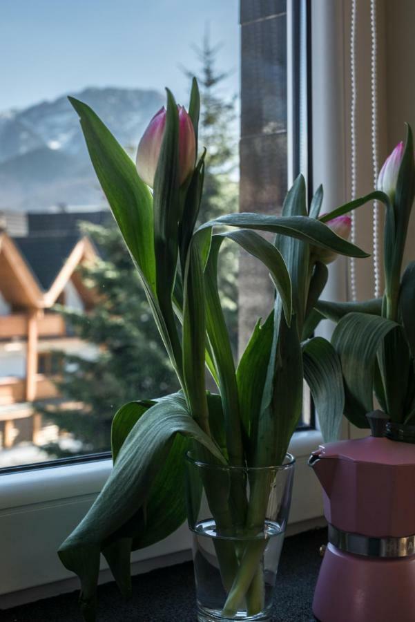 5 Krokow Zakopane Buitenkant foto
